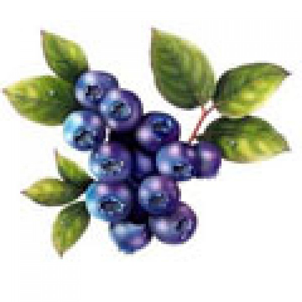 ELiquid 30ml Blueberry E-Liquid