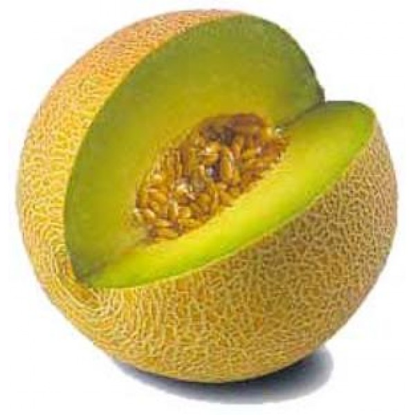 ELiquid 30ml Melon